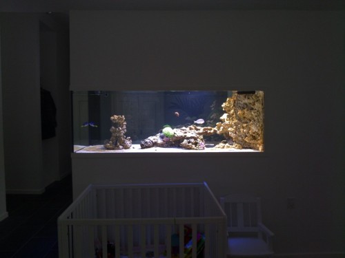 07022010043 [50%] [50%].jpg