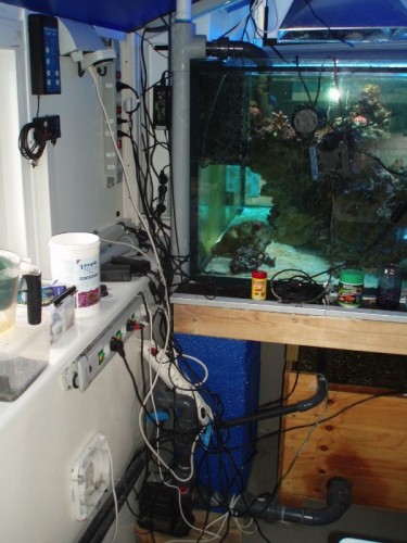 MyFile 43.jpg (88.72 KiB) Vist 1866 gange returpumpe går op gennem uv filter tmc 80w, og også videre ud til køler som står udenfor, og er ikke i brug lige nu, da der jo ligesom er køligt nok :)