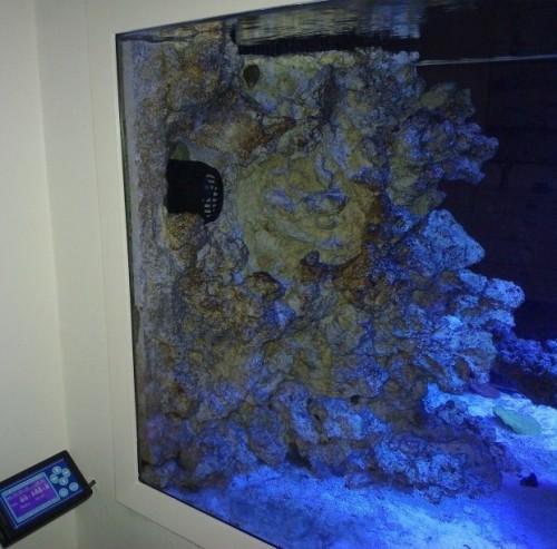 03032010069 [50%] [50%].jpg