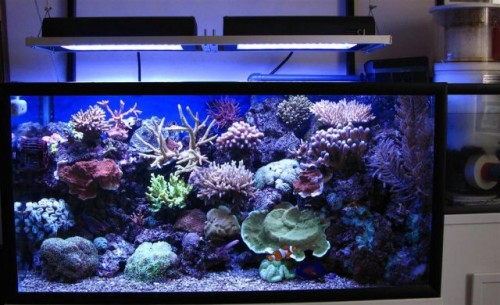 happy%20LED%20(Large).jpg