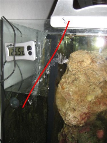 Billede (Medium).jpg