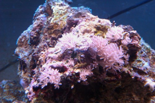IMAG0098.jpg