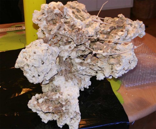 t05.jpg