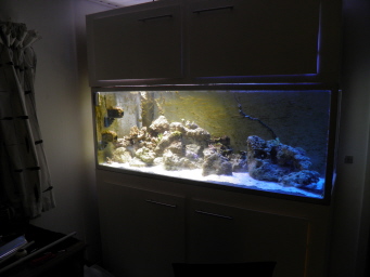 her er så den ene hqi slukket