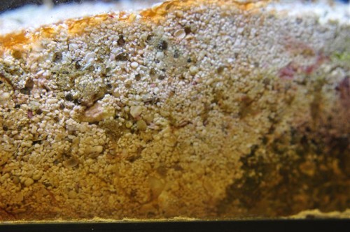 DSC_2653 (Medium).JPG