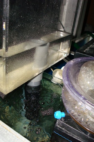 Overløb med PVC, slange og 12/16 silikone slange inden i...