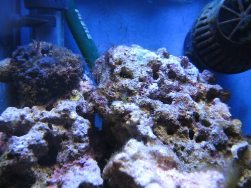IMG_1416.jpg