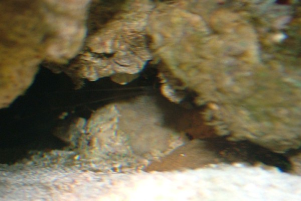 No2 (600 x 400).jpg