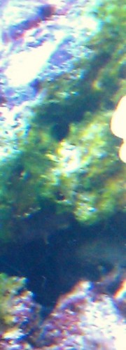 IMAG0125.jpg