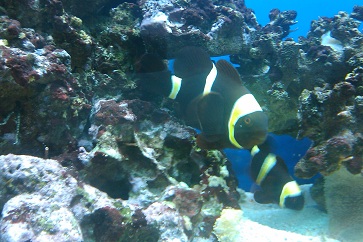 IMAG0125.jpg
