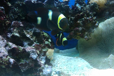 IMAG0127.jpg