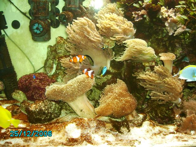 PICT0097 (Small).JPG