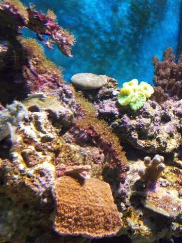 2011-05-29 17.22.58.jpg