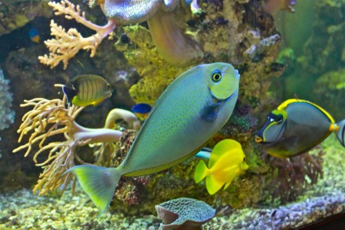IMG_1211.JPG