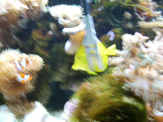 PICT0114 (Small).JPG