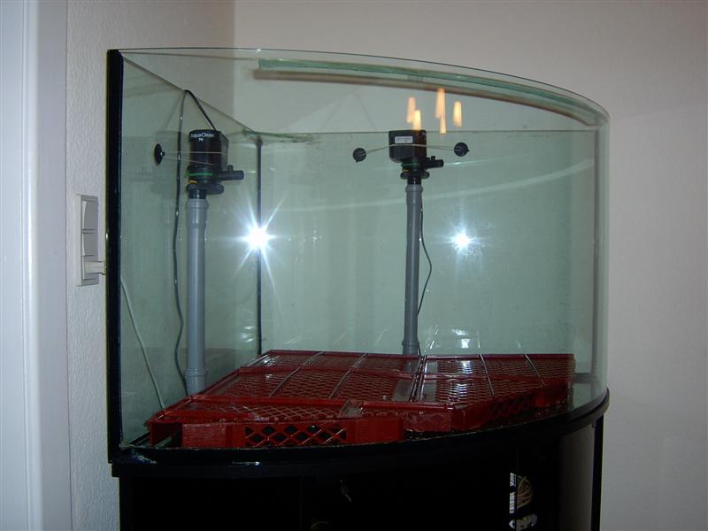 nyår 2005 034 (Medium).jpg