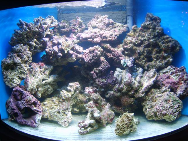 første_setup2 (Small).JPG