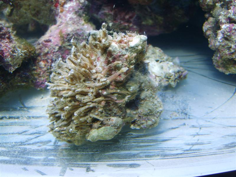 Denne her er vel færdig?