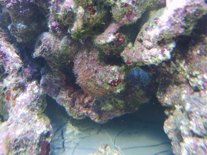 nogle der klarede det!