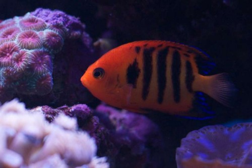 DSC_1769.jpg