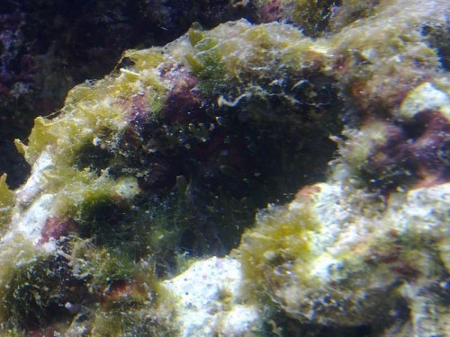 20102011829.jpg