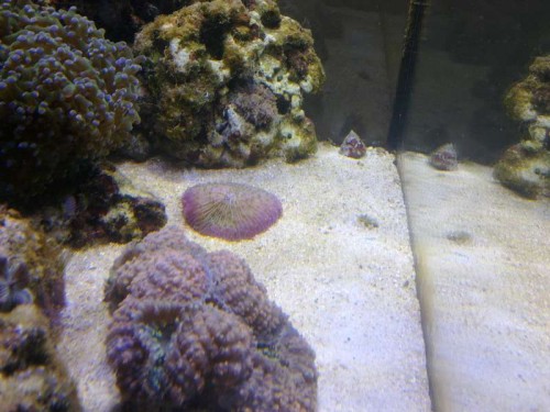 20102011831.jpg