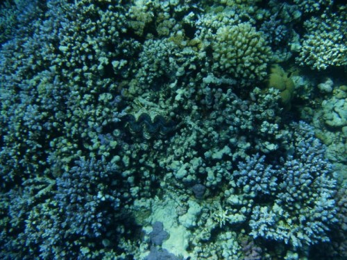 PA280039.jpg