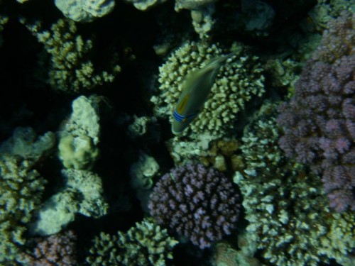 PA280009.jpg