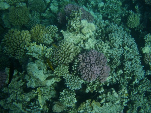 PA270015.jpg