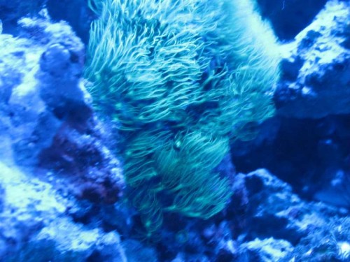 IMG_0381.JPG