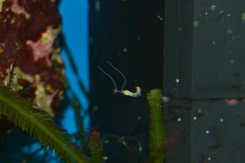 DSC_0001 (Medium).JPG