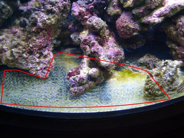 græsset_på_24timer (Small).JPG