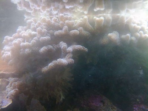 05122011226.jpg
