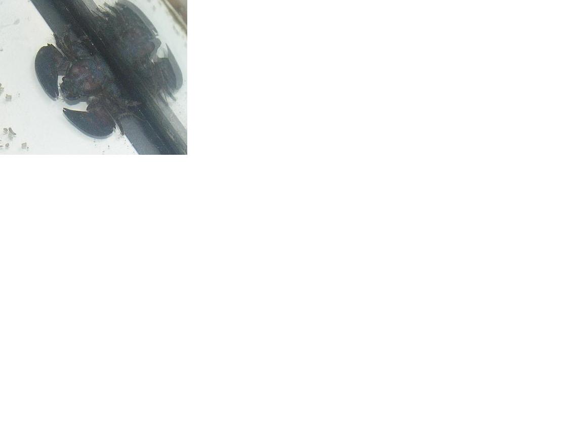 P1070012-1.JPG