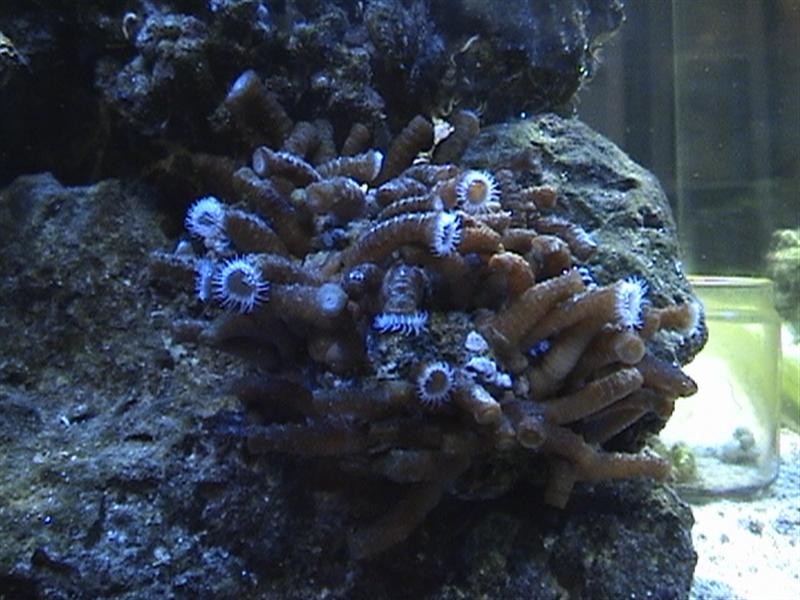 DSC00003 (Medium).JPG
