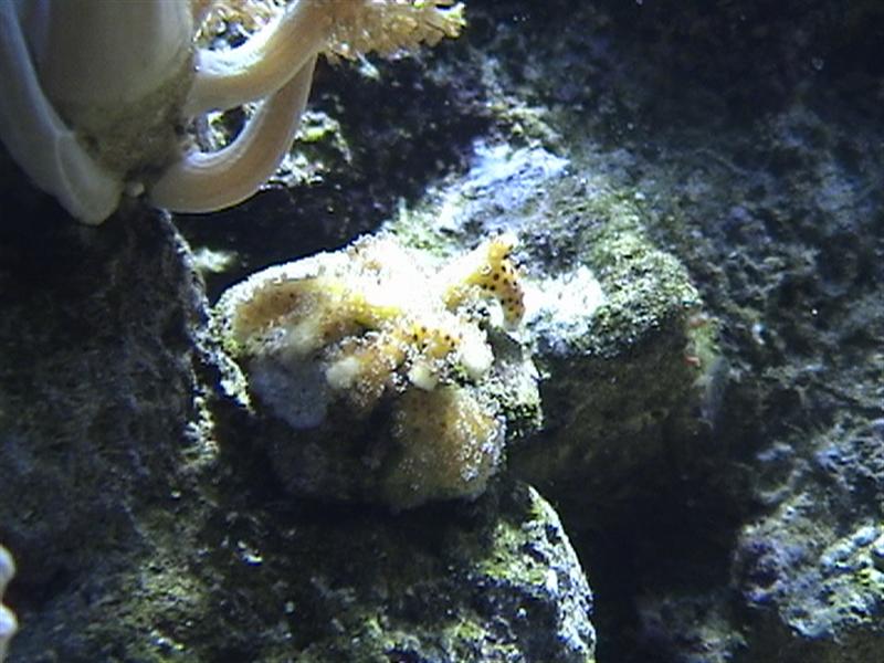 DSC00008 (Medium).JPG