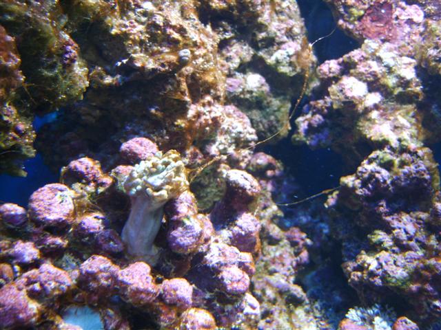 S8000870 (Small).JPG