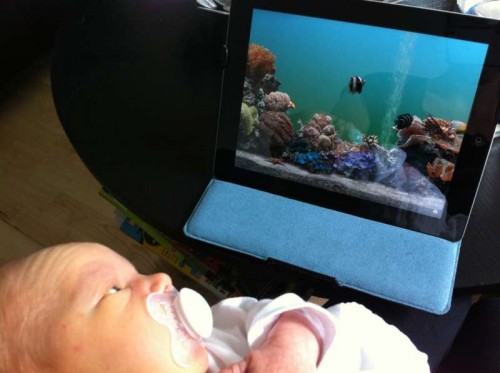 IMG_0317.JPG (35.37 KiB) Vist 4163 gange Antons første syn på virtuelle saltvandsfisk