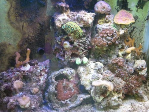 2012-08-01 10.54.52.jpg