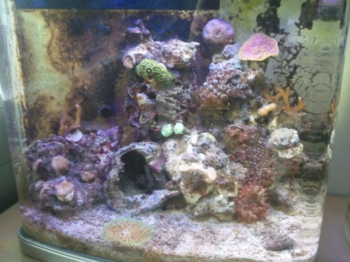 2012-08-02 13.51.40.jpg