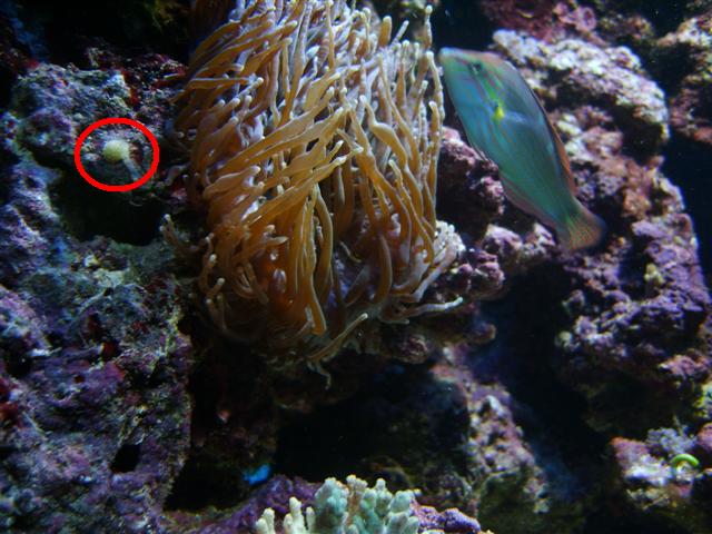 S8001214 (Small)mod.JPG