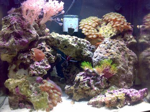 Billede 003 prøve 2.JPG