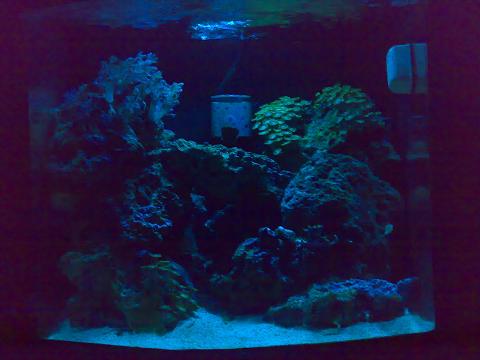 Billede 012 prøve.JPG