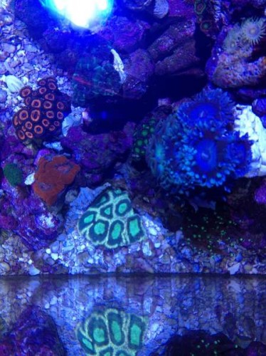 2012-09-10 20.35.48.jpg