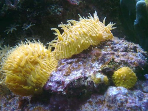 07032012407.jpg