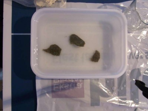 4.JPG (26.7 KiB) Vist 2164 gange Tre fine fragmenter. Jeg har prioriteret at have flere end et øje på hver fragment.