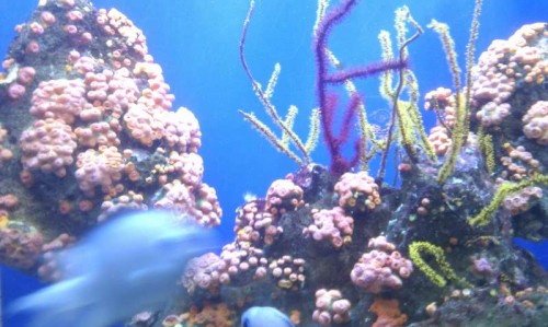 IMAG0497.jpg