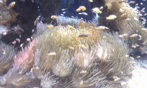 IMAG0498.jpg