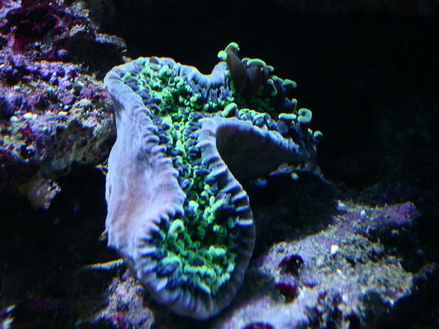 DSC07738 (Small).JPG