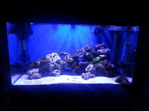 20121112_174407.jpg